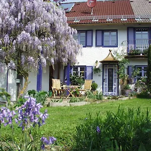 biohof-und-imkerei-schlssle-allgu.com-bavaria.com/